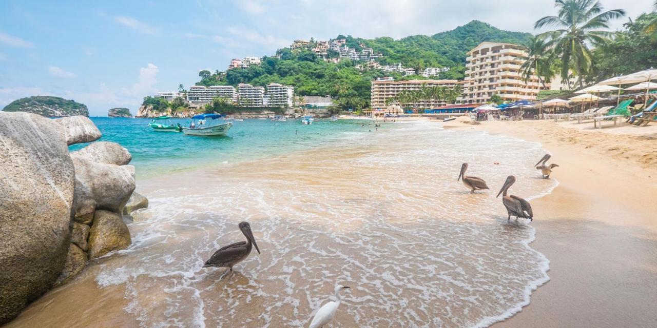 Departamento A 5 Minutos De Playa Mismaloya, Puerto Vallarta Esterno foto